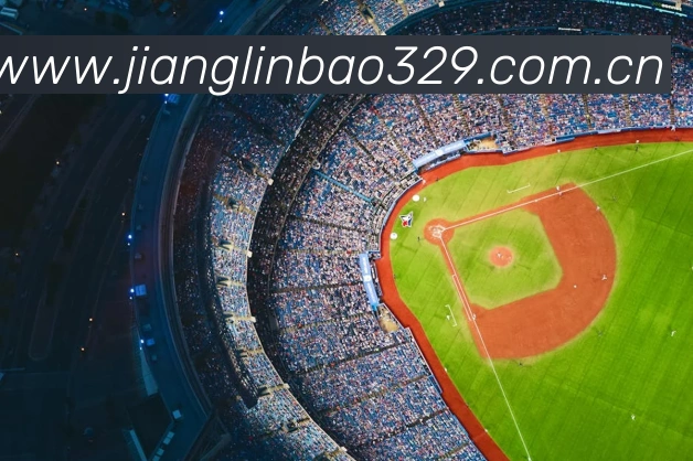 奖项4